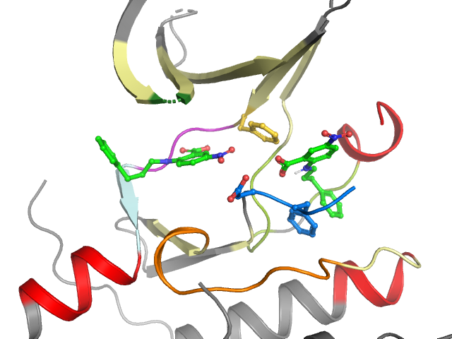 The orthosteric binding pocket