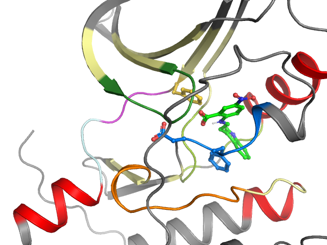 The orthosteric binding pocket