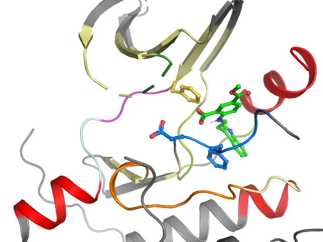 The orthosteric binding pocket