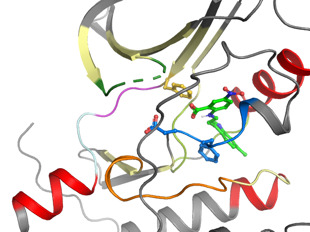 The orthosteric binding pocket