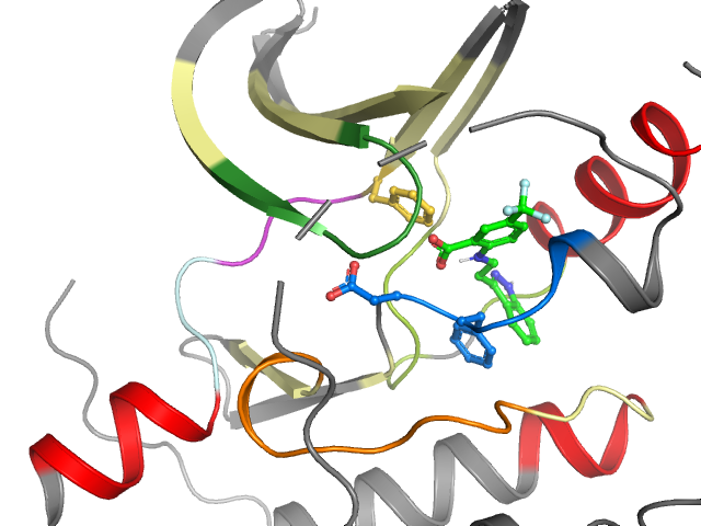 The orthosteric binding pocket