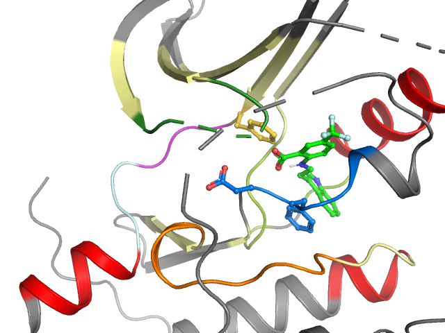The orthosteric binding pocket