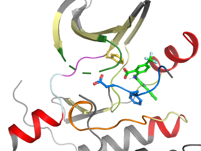 The orthosteric binding pocket