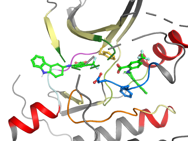 The orthosteric binding pocket