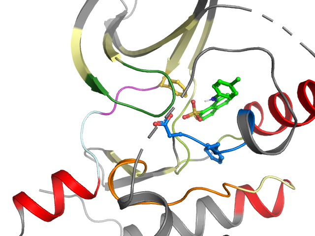 The orthosteric binding pocket