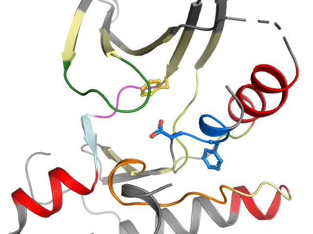 The orthosteric binding pocket