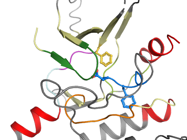 The orthosteric binding pocket