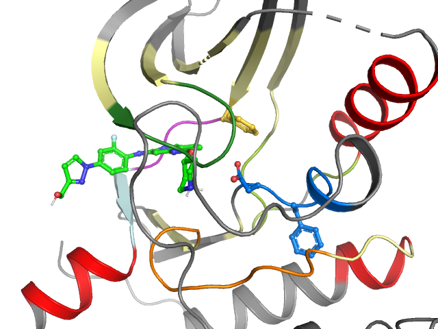 The orthosteric binding pocket