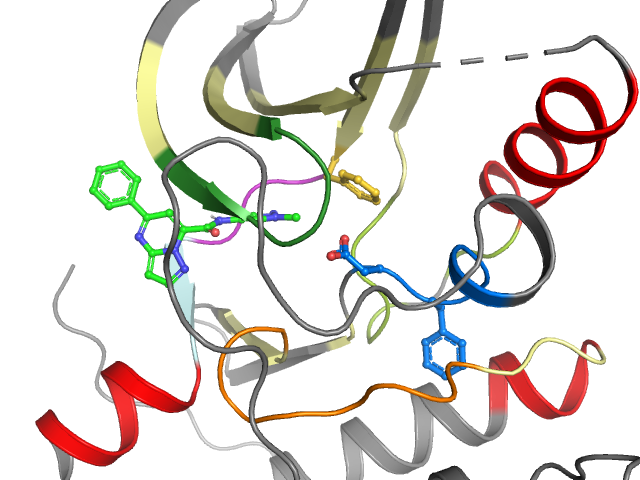 The orthosteric binding pocket