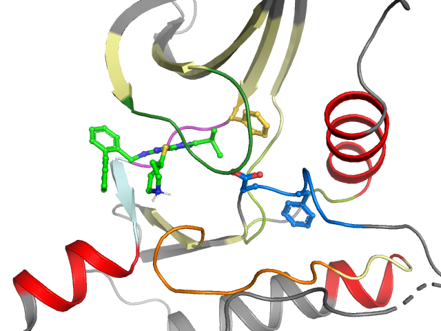 The orthosteric binding pocket