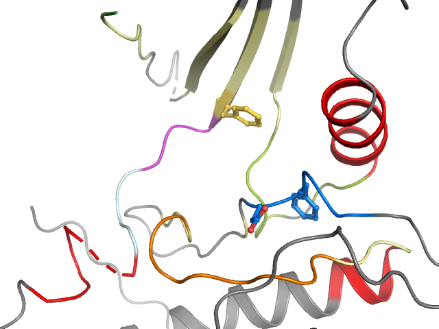 The orthosteric binding pocket