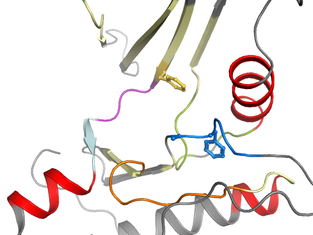The orthosteric binding pocket