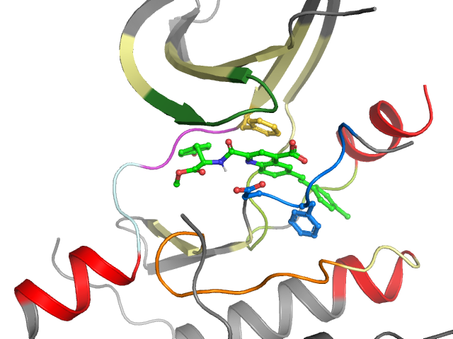 The orthosteric binding pocket