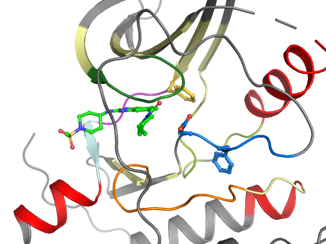 The orthosteric binding pocket