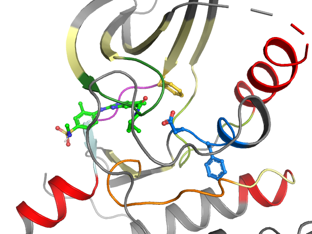 The orthosteric binding pocket