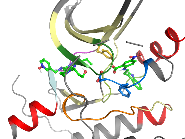 The orthosteric binding pocket