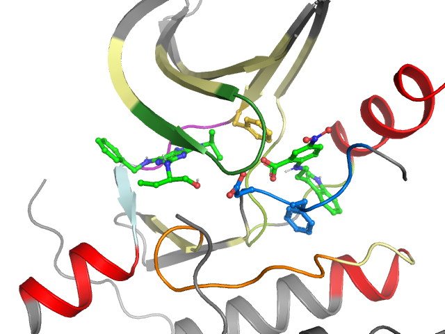 The orthosteric binding pocket