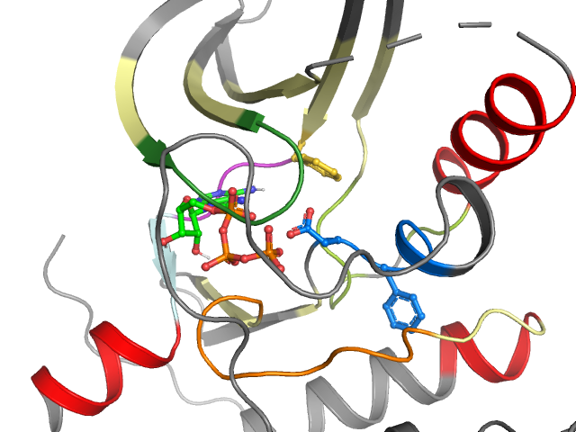 The orthosteric binding pocket