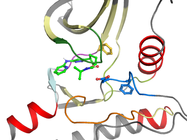 The orthosteric binding pocket