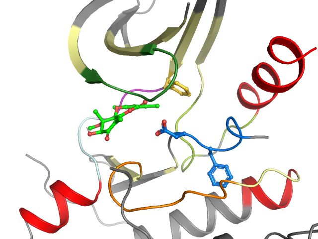 The orthosteric binding pocket