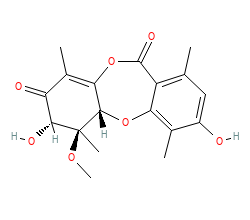 2D structure of the orthosteric ligand
