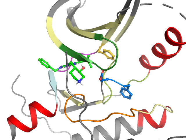 The orthosteric binding pocket