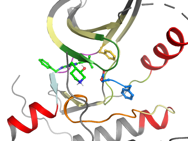 The orthosteric binding pocket