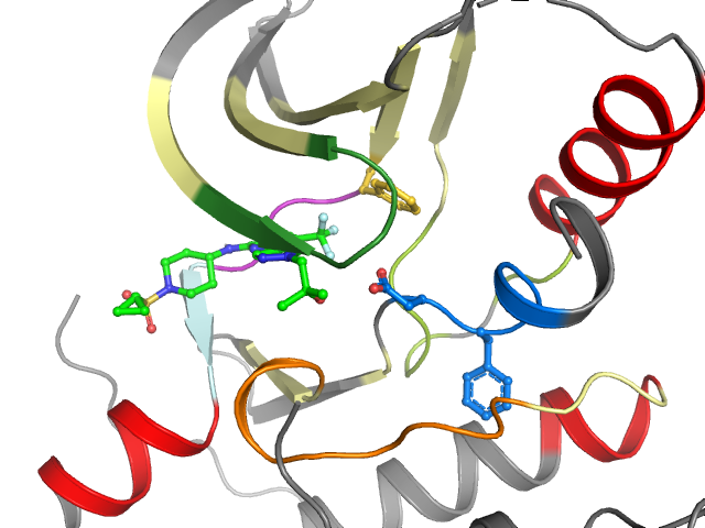 The orthosteric binding pocket