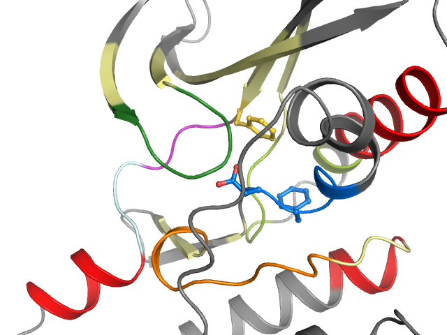 The orthosteric binding pocket