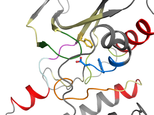 The orthosteric binding pocket