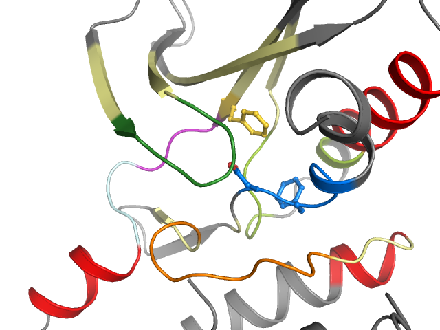 The orthosteric binding pocket