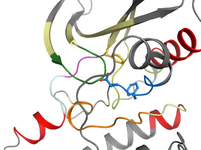 The orthosteric binding pocket