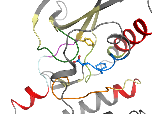 The orthosteric binding pocket