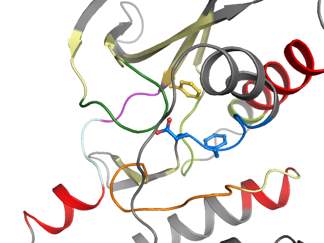 The orthosteric binding pocket