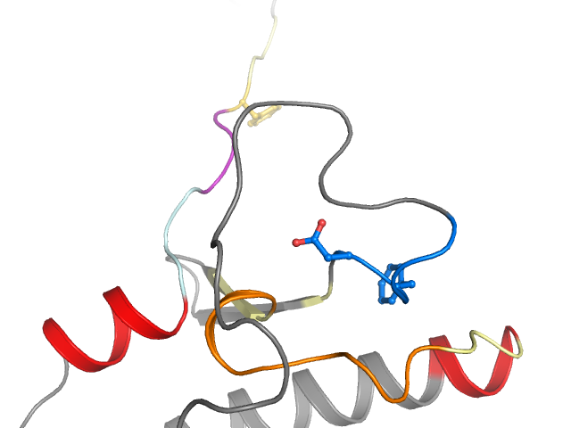The orthosteric binding pocket