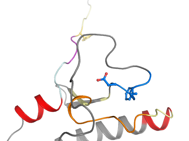 The orthosteric binding pocket
