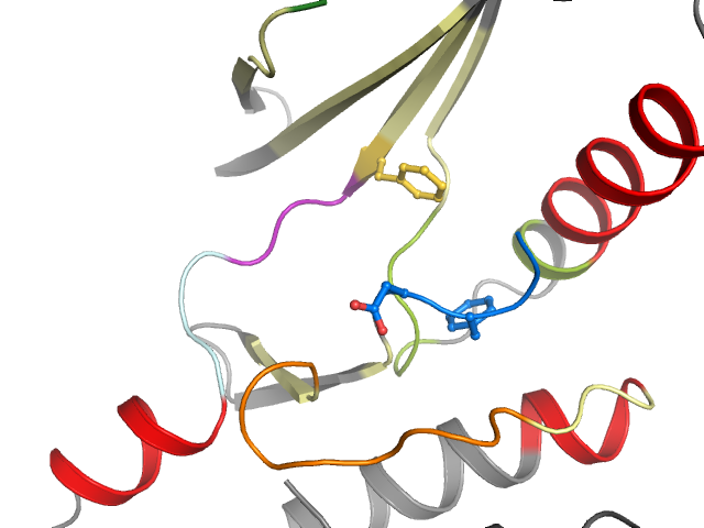 The orthosteric binding pocket