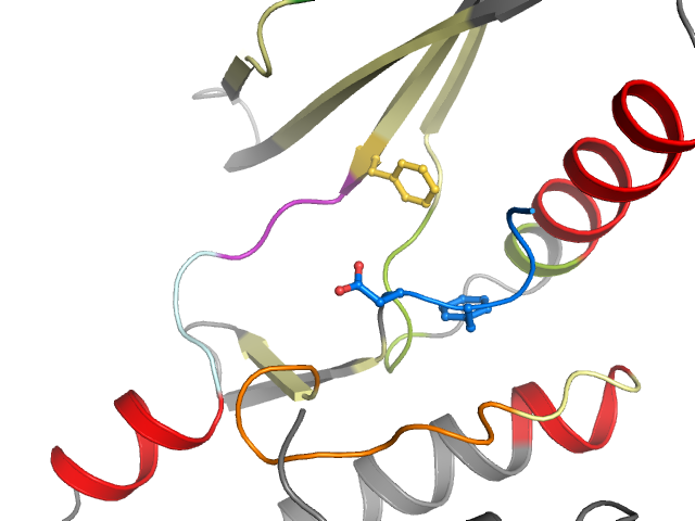 The orthosteric binding pocket