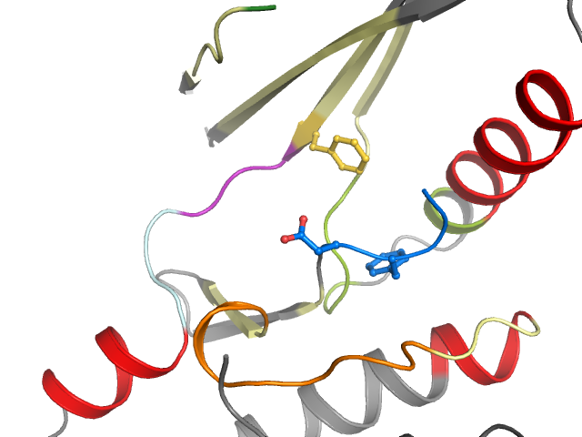 The orthosteric binding pocket