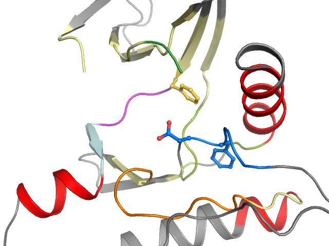 The orthosteric binding pocket