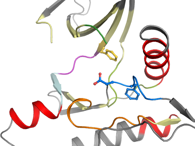 The orthosteric binding pocket