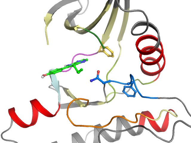 The orthosteric binding pocket