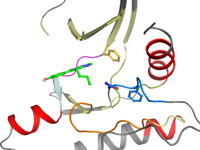 The orthosteric binding pocket
