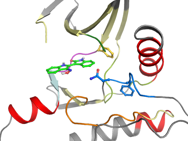 The orthosteric binding pocket