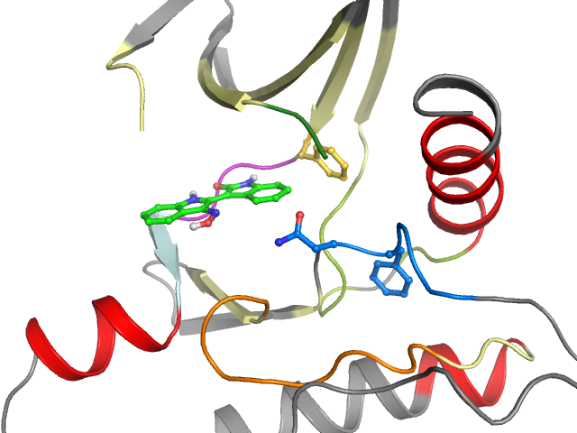 The orthosteric binding pocket