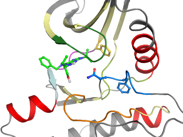 The orthosteric binding pocket