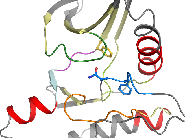 The orthosteric binding pocket