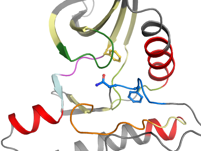 The orthosteric binding pocket