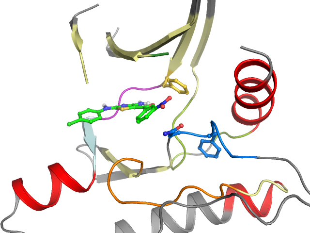 The orthosteric binding pocket
