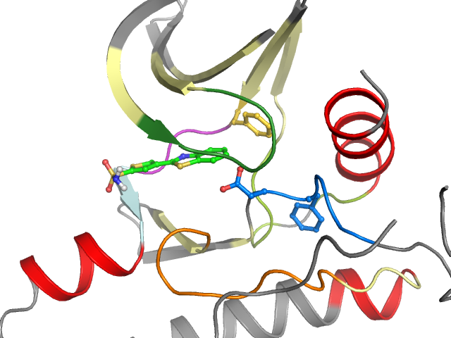 The orthosteric binding pocket